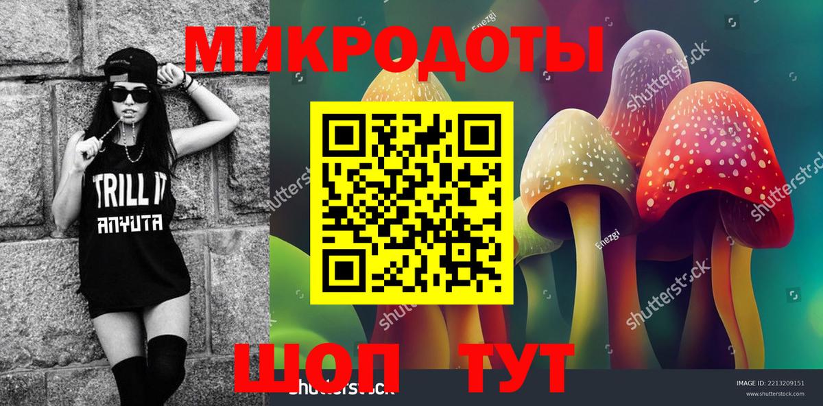 Псилоцибиновые грибы мицелий  Вход с VPN  Советск 