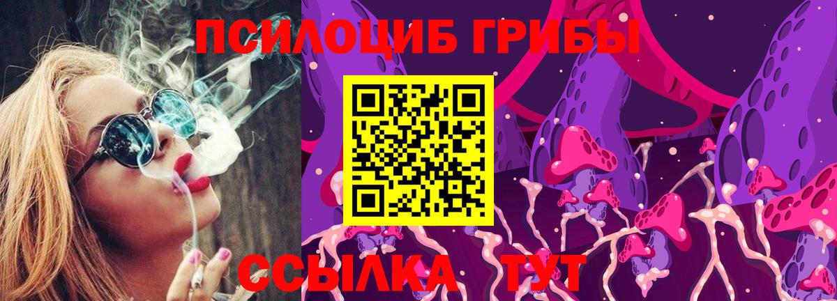 Галлюциногенные грибы Psilocybine cubensis Советск