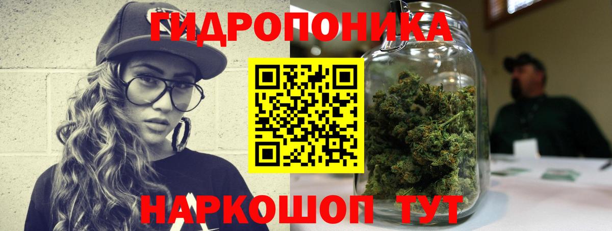 Бошки Шишки THC 21%  Вход с VPN  Советск  Бошки марихуана Bruce Banner  Шишки марихуана Bruce Banner 